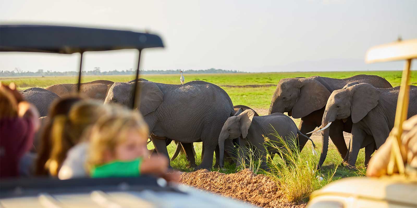 Elephants and safari vehicle in Masai Mara, Kenya