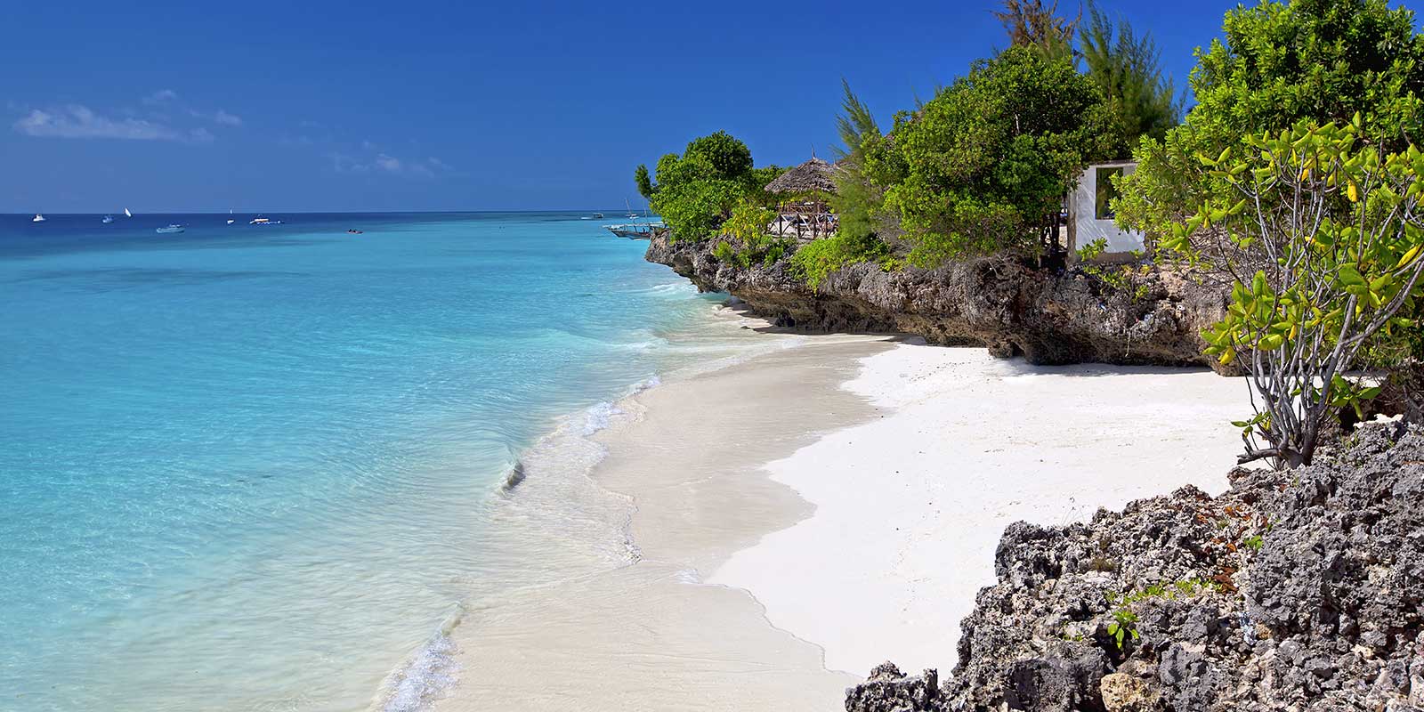 Beach in Zanzibar, Tanzania