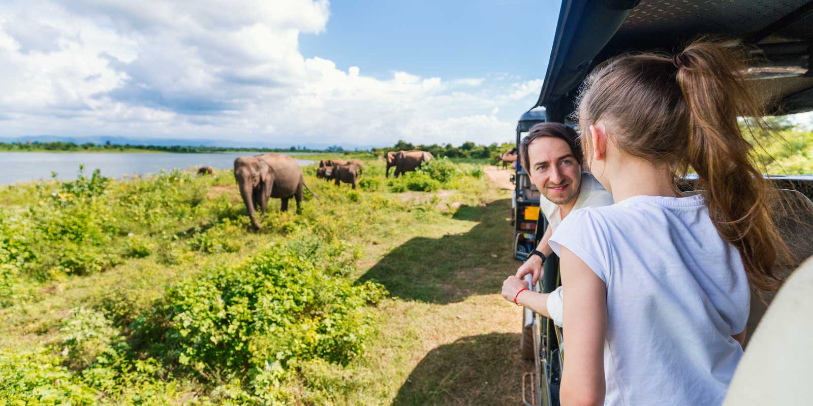 Elephant safari in Sri Lanka