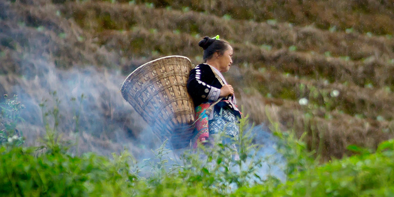 Woman from Hmong tribe in countryside near Chiang Mai