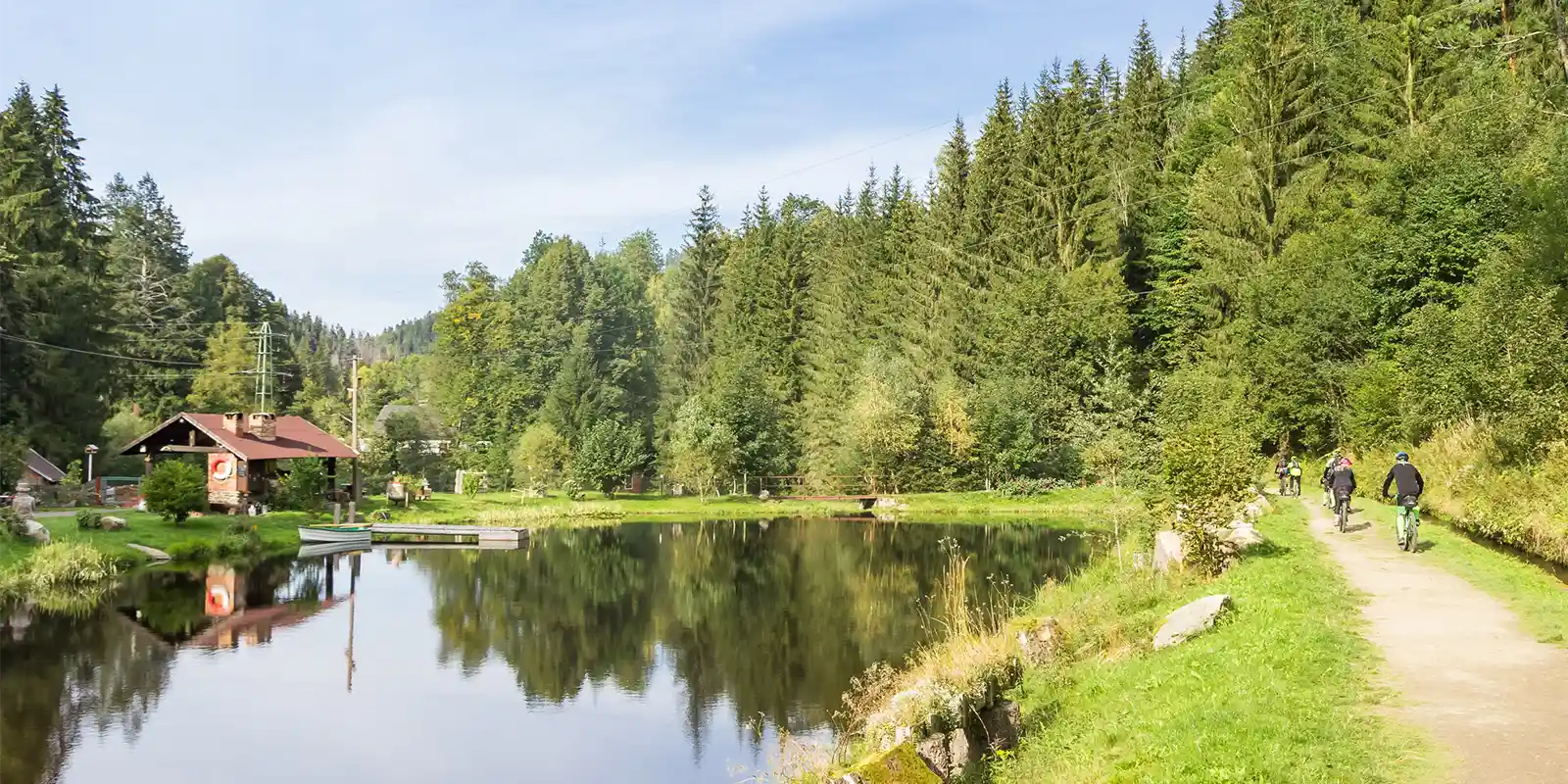 Group cycling in Sumava National Park, Czech Republic