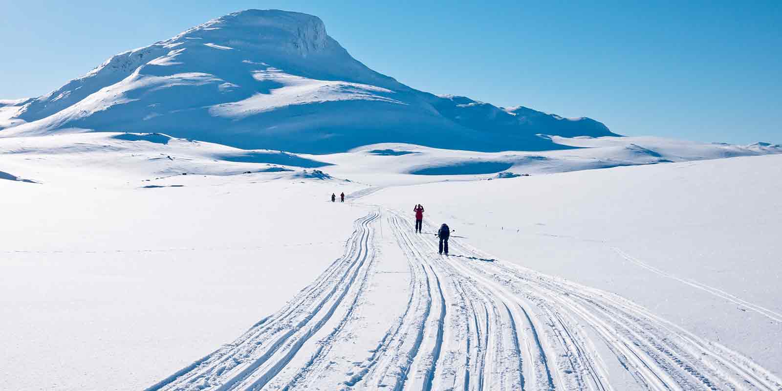 Family cross country skiing in Norway