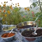 Traditional food in Kerala, India.