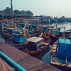 Sassoon docks in Mumbai, India