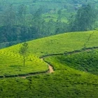 View of Western Ghats, India.