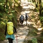 Hikers heading to Australian Camp on the Annapurna Trail, Nepal.