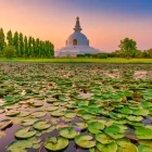 Lumbini, Nepal.