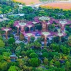 Supertree Grove in Singapore.