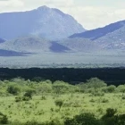 Shetani lava flow in Tsava National Park, Kenya.