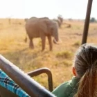 Young girl seeing elephants on safari, Kenya.