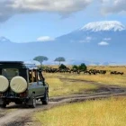 Safari truck driving through the savannah of Kenya.