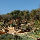 The Walter Sisulu Botanical Garden, in Johannesburg, South Africa