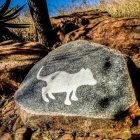 Engraving at the Cradle of Humankind, Johannesburg, South Africa