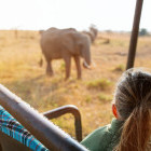 Girl watching elephants on safari in Kenya
