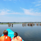Children kayaking and watching an antelope herd in Kenya