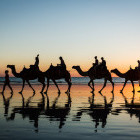 Camel trek on a beach in Morocco