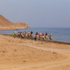 Camel trek on a beach in Morocco