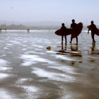 Group with surf boards in Morocco