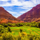 Todgha Gorge in Morocco