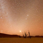 Silhouette of a tree at night in Dead Vlei, Sossusvlei in Namibia