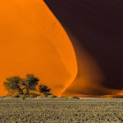 Dune 40 in Namib-Naukluft National Park in Namibia