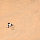 Dune boarding in Namibia