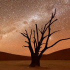 Namib Desert and sky at dusk in Namibia