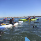 Seal kayaking at Pelican Point in Namibia