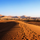 Dead Vlei in Sossusvlei, Namibia