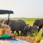 Family on safari in Tanzania