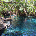 Kikuletwa hot springs in Tanzania