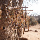 Bow & arrows from the Hadza tribe in Tanzania