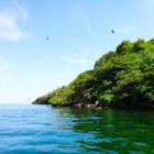 Lake Victoria in Tanzania