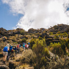 Group hiking Mount Kilimanjaro in Tanzania