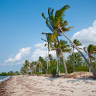 Beach in Saadani National Park, Tanzania