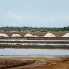 Salt flats in Saadani National Park, Tanzania