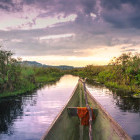 Mabamba Swamp in Entebbe, Uganda