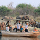 Watching elephants in Zambia from a river safari.