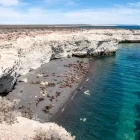 Sea lion on beach in Puerto Madryn, Argentina