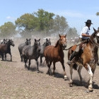 Gaucho with horses in Argentina