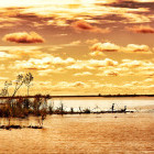 Sunset and birdlife at sunset in the Ibera Wetlands, Argentina