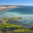 Scenic view of coastline of Valdes Peninsula, Patagonia, Argentina