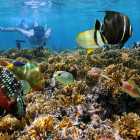 Snorkelling in Costa Rica