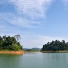 Belum Temenggor Rainforest, Malaysia.