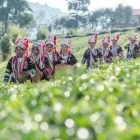 Akha tribe in Chiang Rai, Thailand