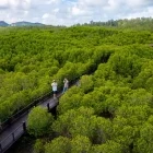 Aerial of Pranburi Forest Park in Thailand