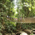 Canopy tour in Borneo