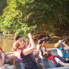 Boat trip on Kinabatangan River in Borneo