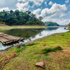Bamboo raft in Periyar National Park, Kerala, India