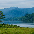 Periyar National Park in Kerala, India